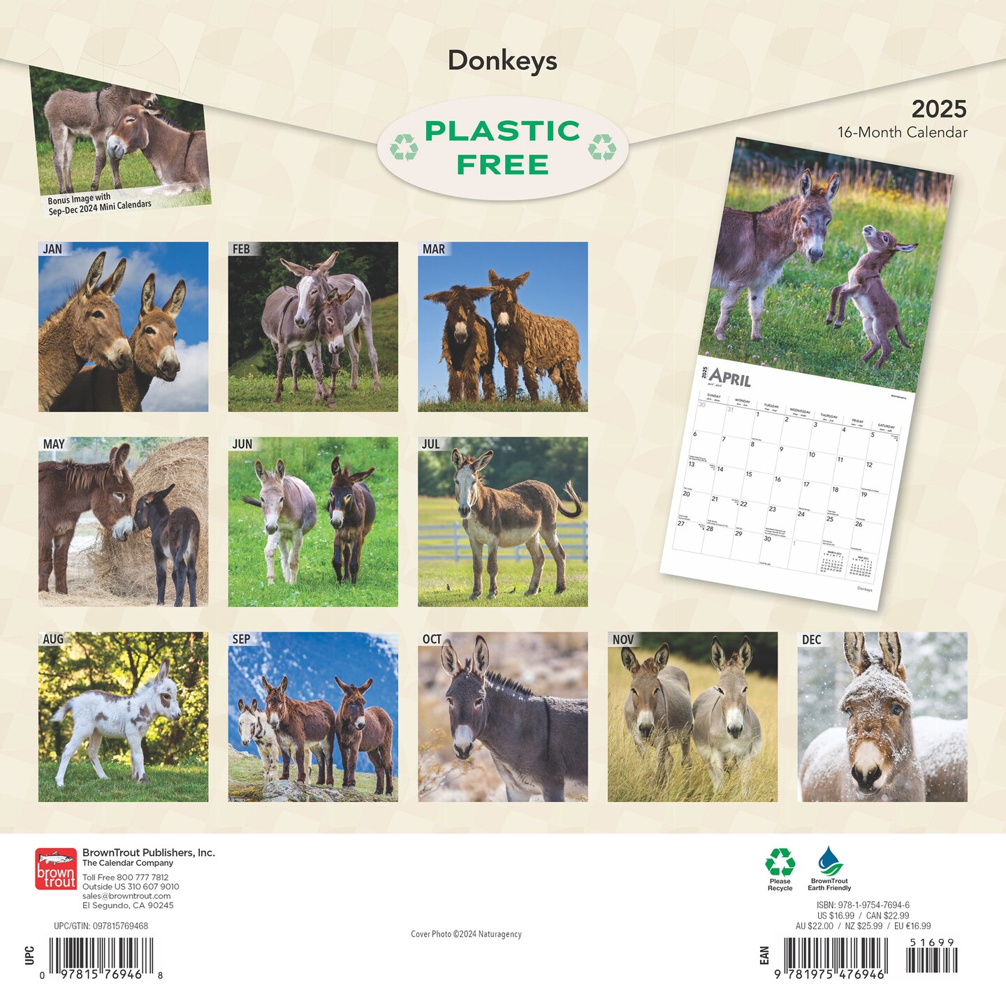 Donkeys | 2025 12 x 24 Inch Monthly Square Wall Calendar | Plastic-Free | BrownTrout | Domestic Animals