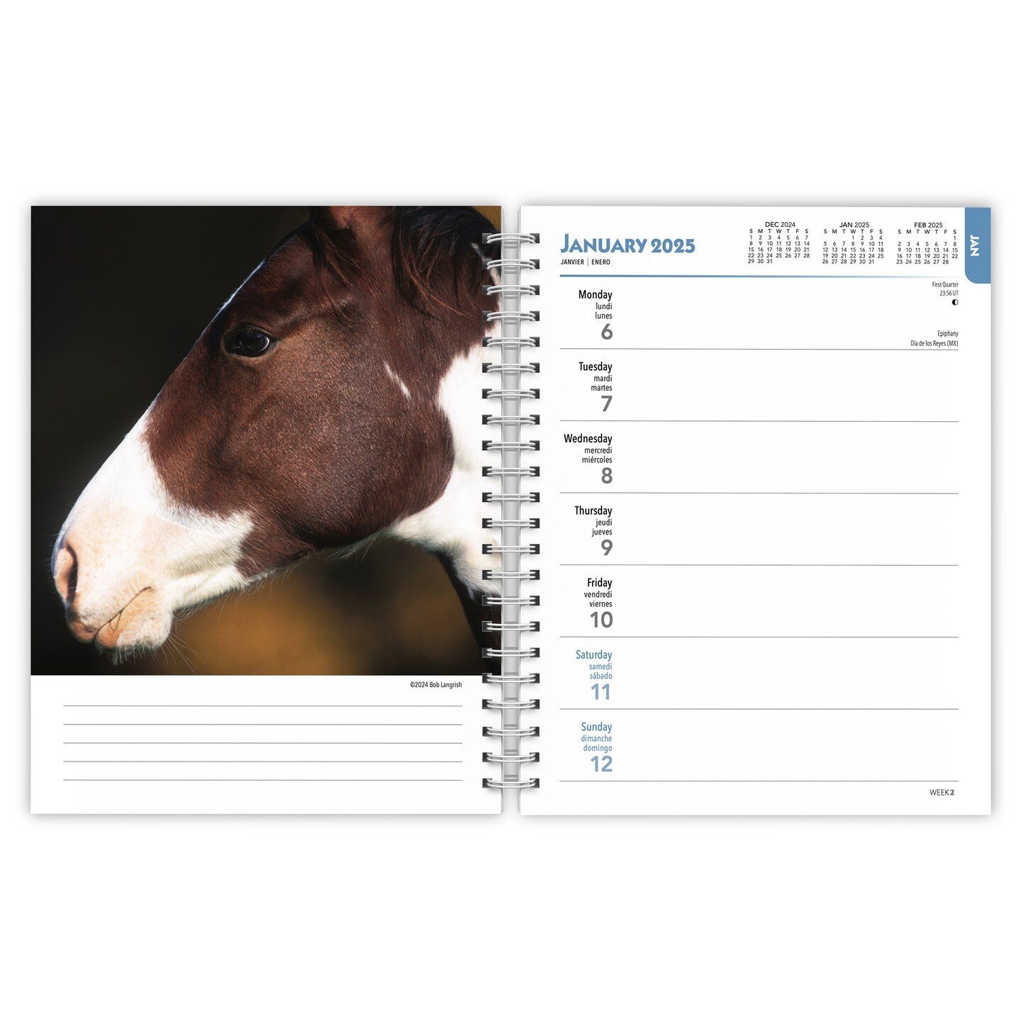 Horse Lovers | 2025 6 x 7.75 Inch Spiral-Bound Wire-O Weekly Engagement Planner Calendar | New Full-Color Image Every Week | BrownTrout | Animals Equestrian