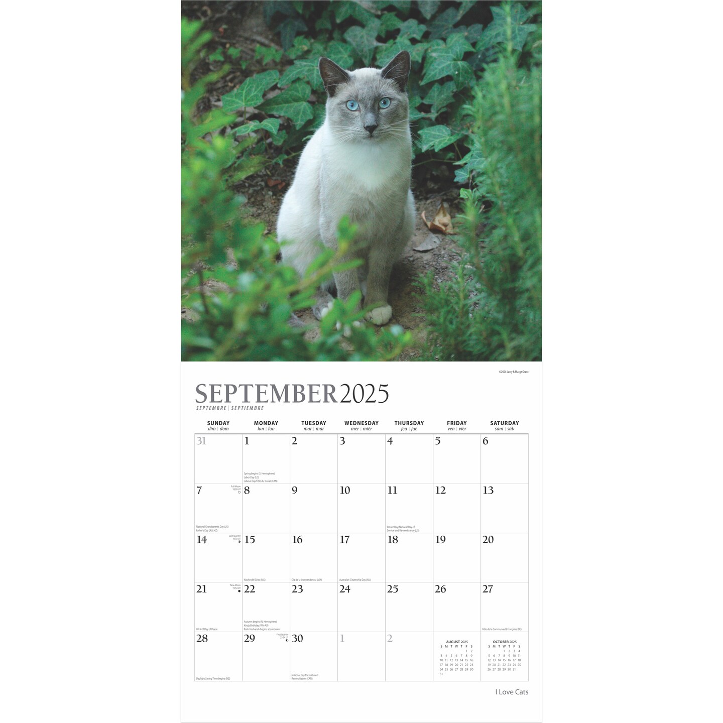 I Love Cats | 2025 12 x 24 Inch Monthly Square Wall Calendar | Foil Stamped Cover | Plato | Feline Kittens Pets