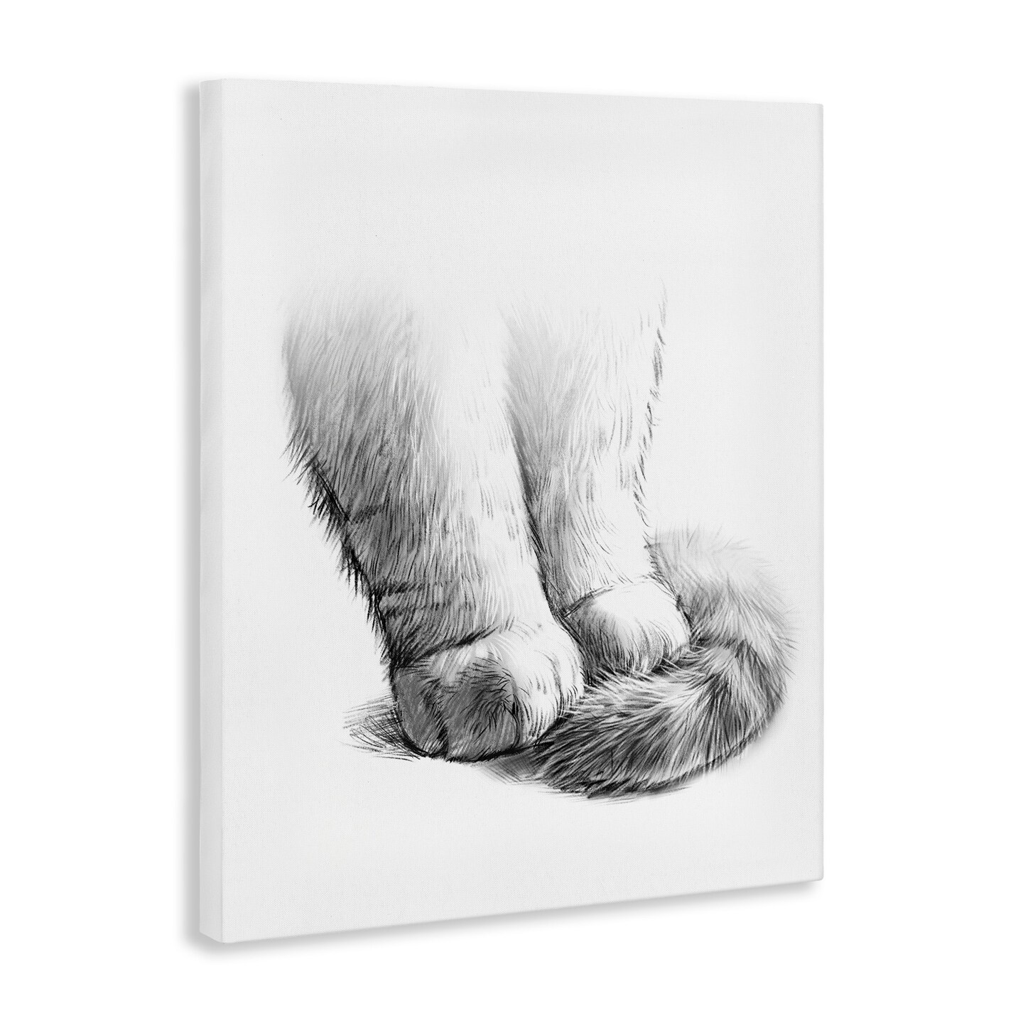 Stupell Industries Fluffy Cat Paws &#x26; Tail Canvas Wall Art