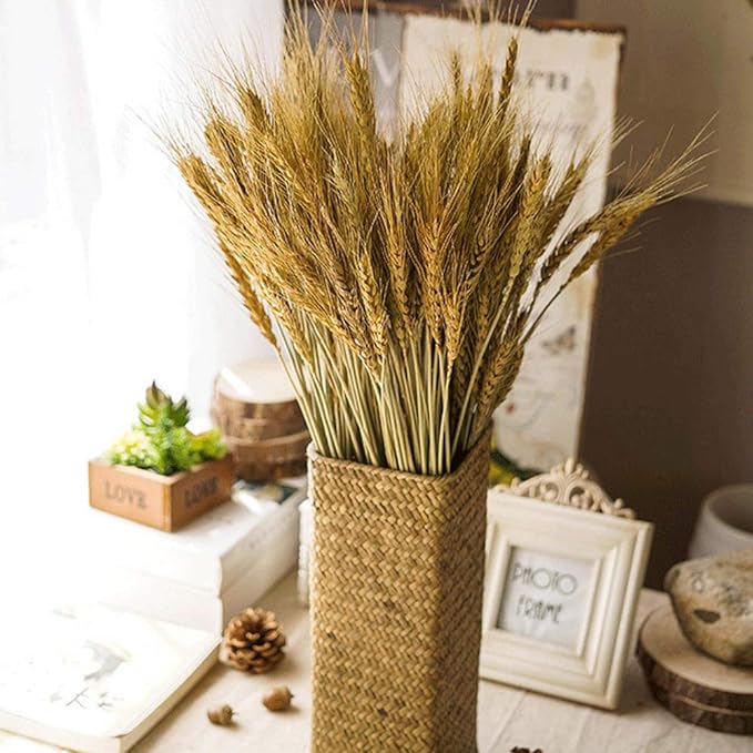 100 Pieces of Dried Wheat Sheaves Bundle Golden Natural Wheat Bouquet Bunch Dried Flowers Arrangement for Fall Farmhouse DIY Design Home Table Wedding Party Centerpieces Decor (16")