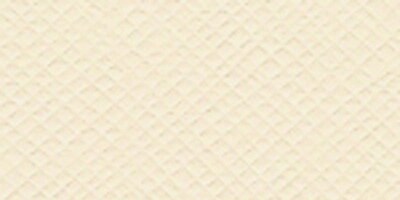 Bazzill Classic Cardstock 12&#x22;X12&#x22;