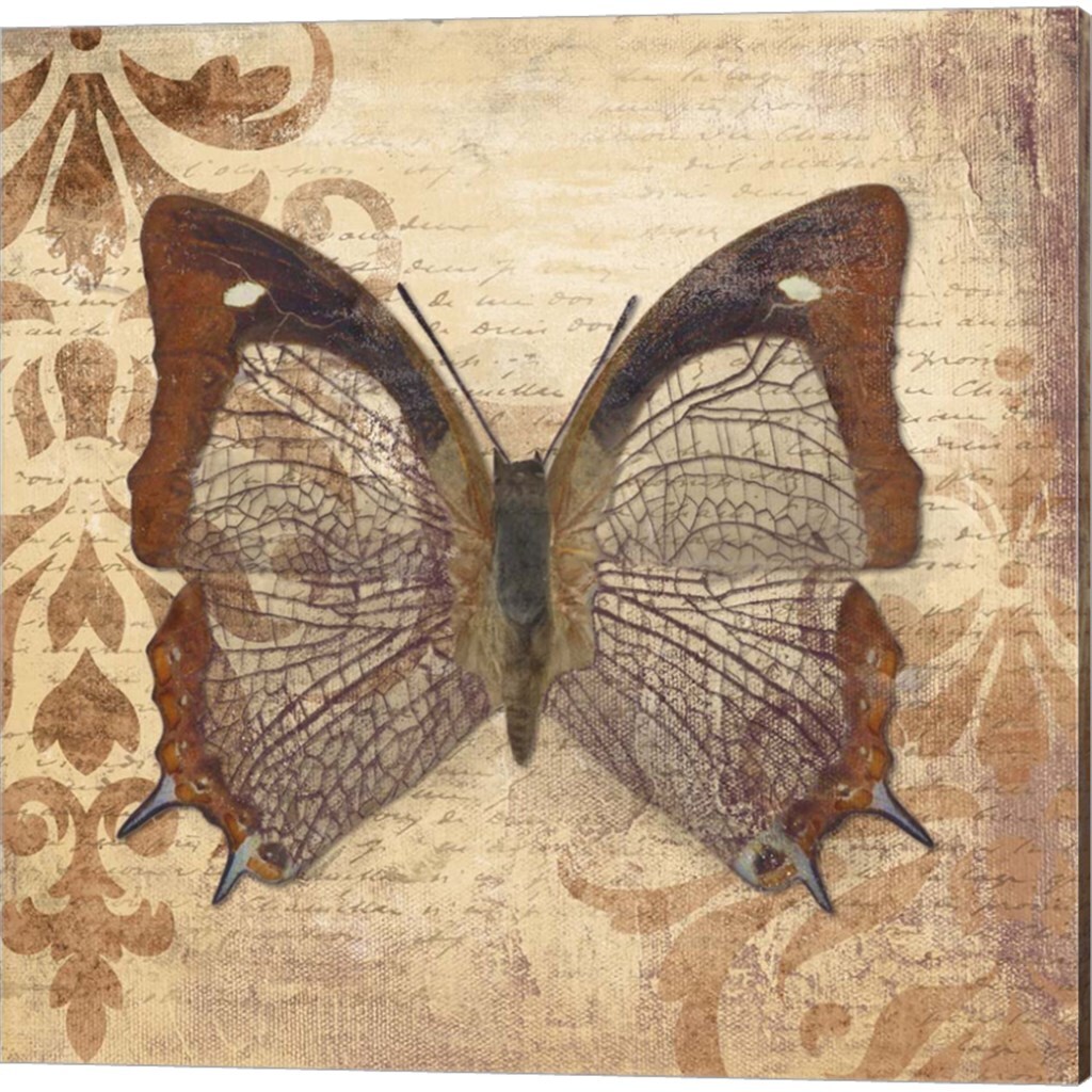 Butterfly &#x26; Dragonfly by Patricia Pinto 14&#x22; x 14&#x22; Canvas Wall Art (Set of 2)