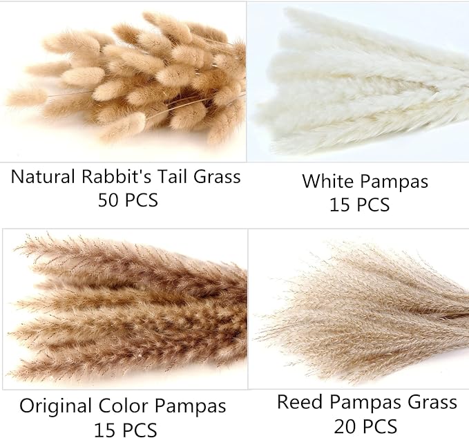 Dried Pampas Grass Decor, 100PCS Pampas grass contains bunny tails. Dried Flowers, Reed Grass Bouquet for Wedding Bohemian Flowers Home Table Decor, Rustic Farmhouse Party (White and Brown)