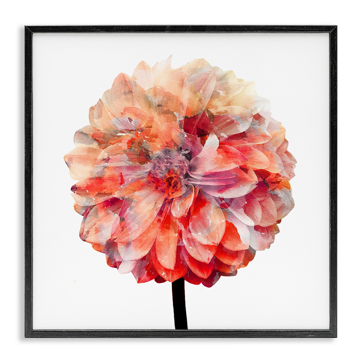 Stupell Industries Bright Coral Watercolor Bloom Framed Giclee Art
