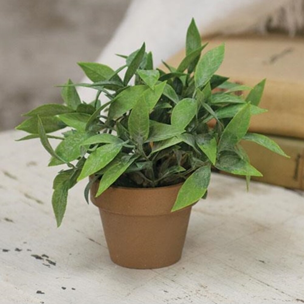 Gatehouse Herb Pot 6&#x22;