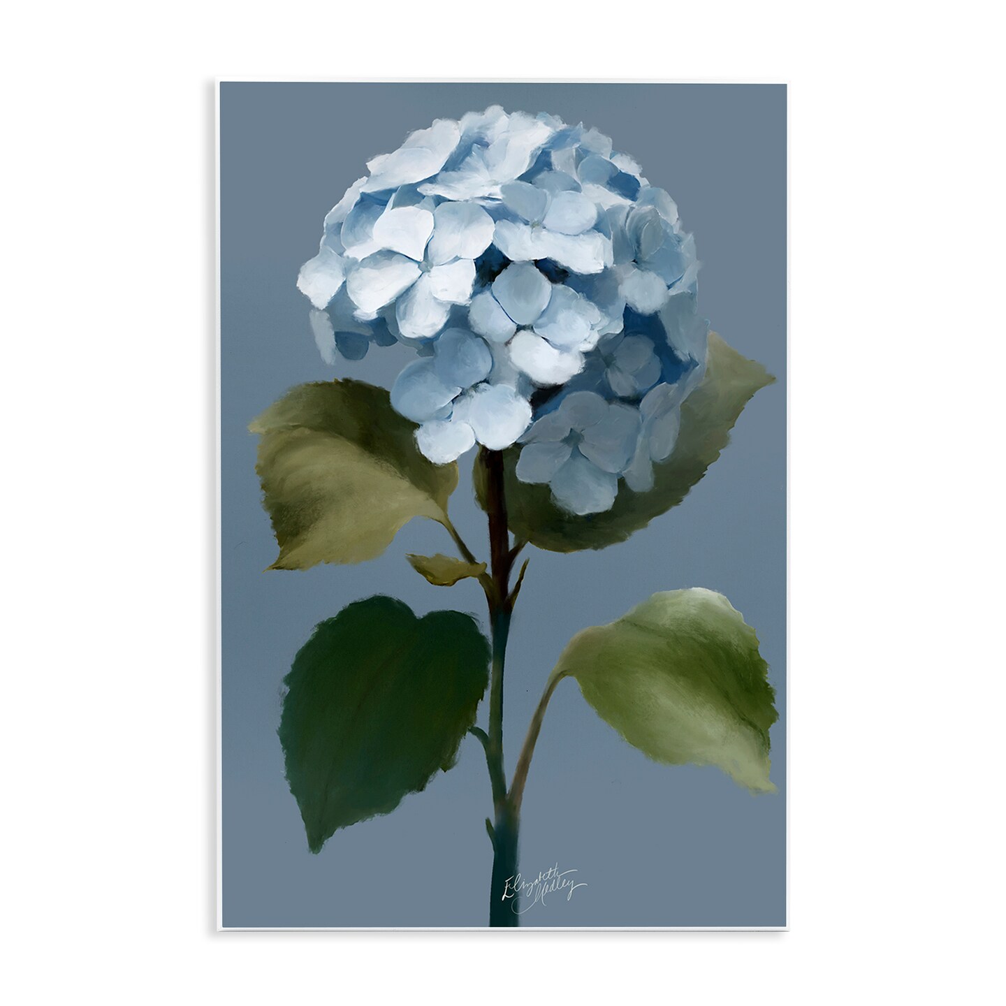 Stupell Industries Delicate Blue Hydrangea Wall Plaque Art Design by Elizabeth Medley