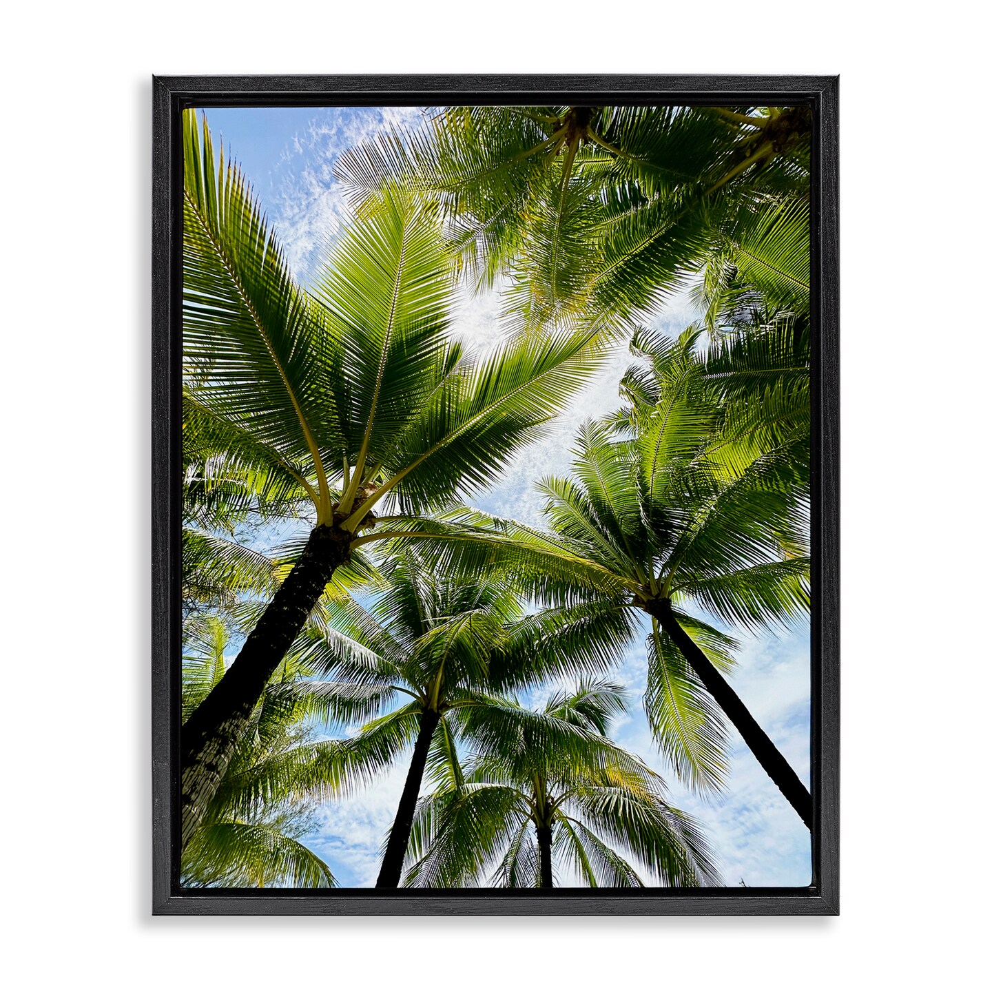 Stupell Industries Overhead Palm Trees Framed Floater Canvas Wall Art Design by Kali Wilson