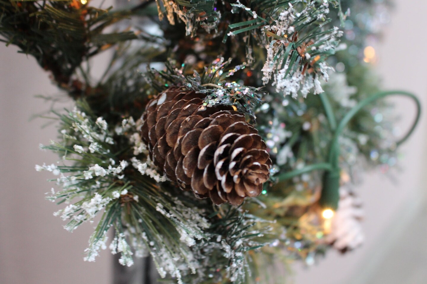Pinecones - Premium Fragrance Oil