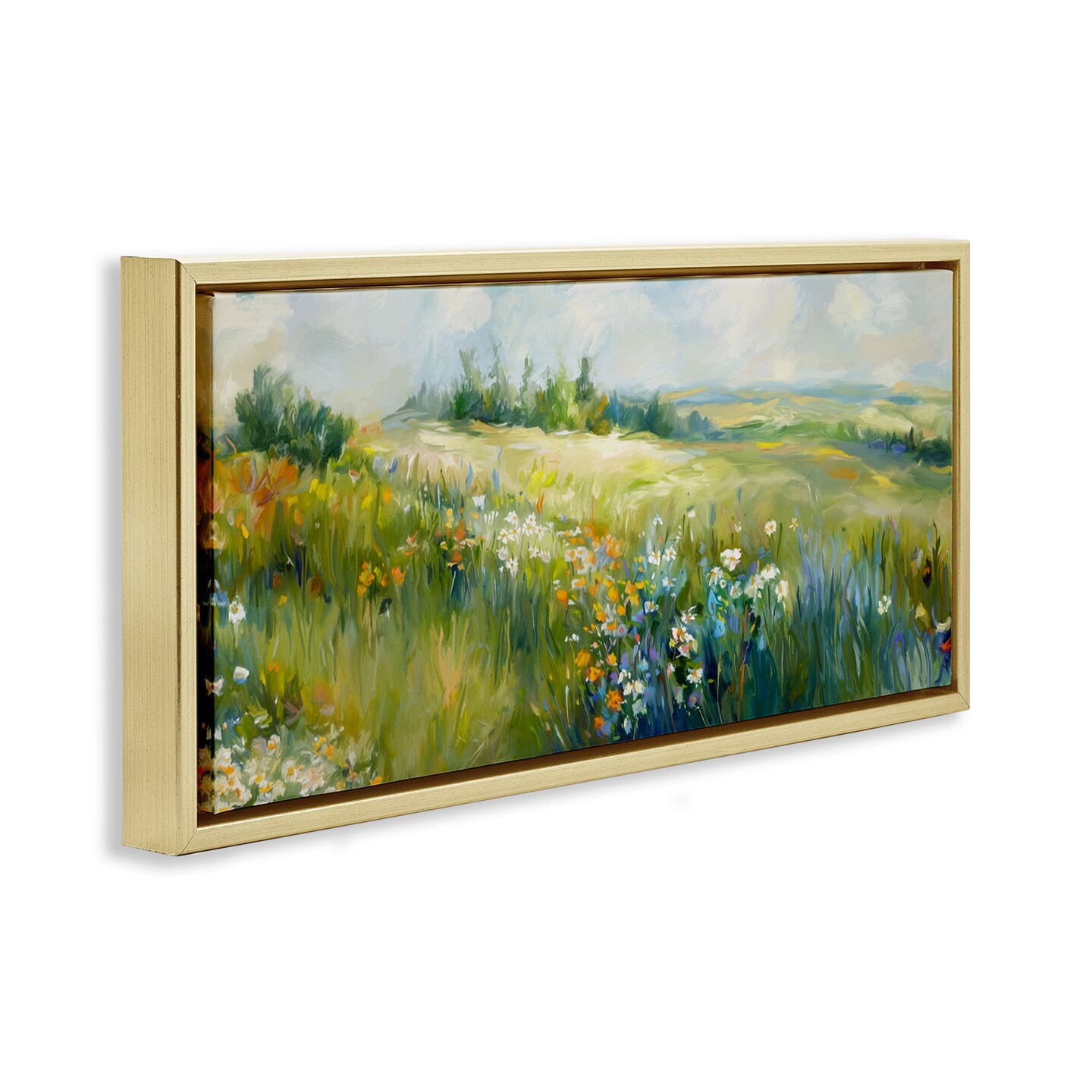 Stupell Industries Prairie Panorama Scene Framed Floater Canvas Wall Art Design by Ramona Murdock