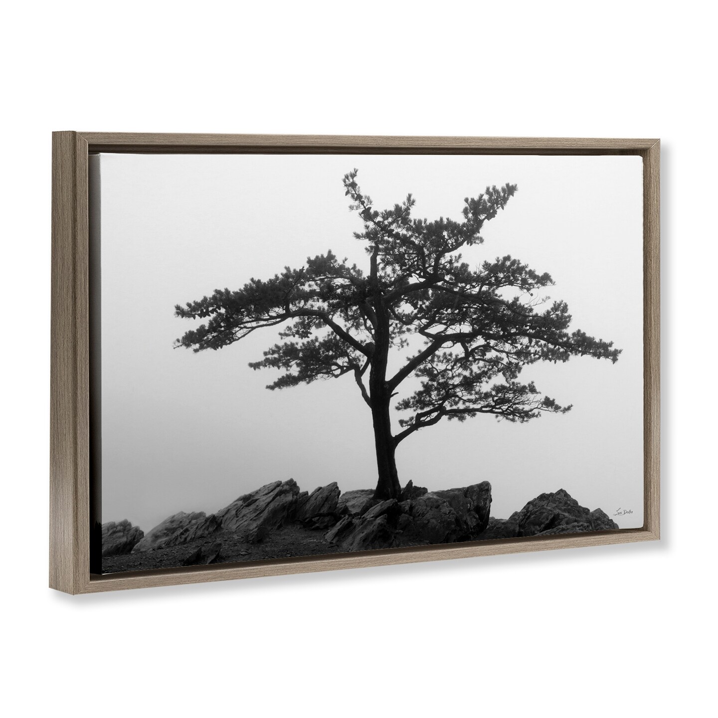 Stupell Industries Lone Tree on Rocks Framed Floater Canvas Wall Art Design by Lori Deiter