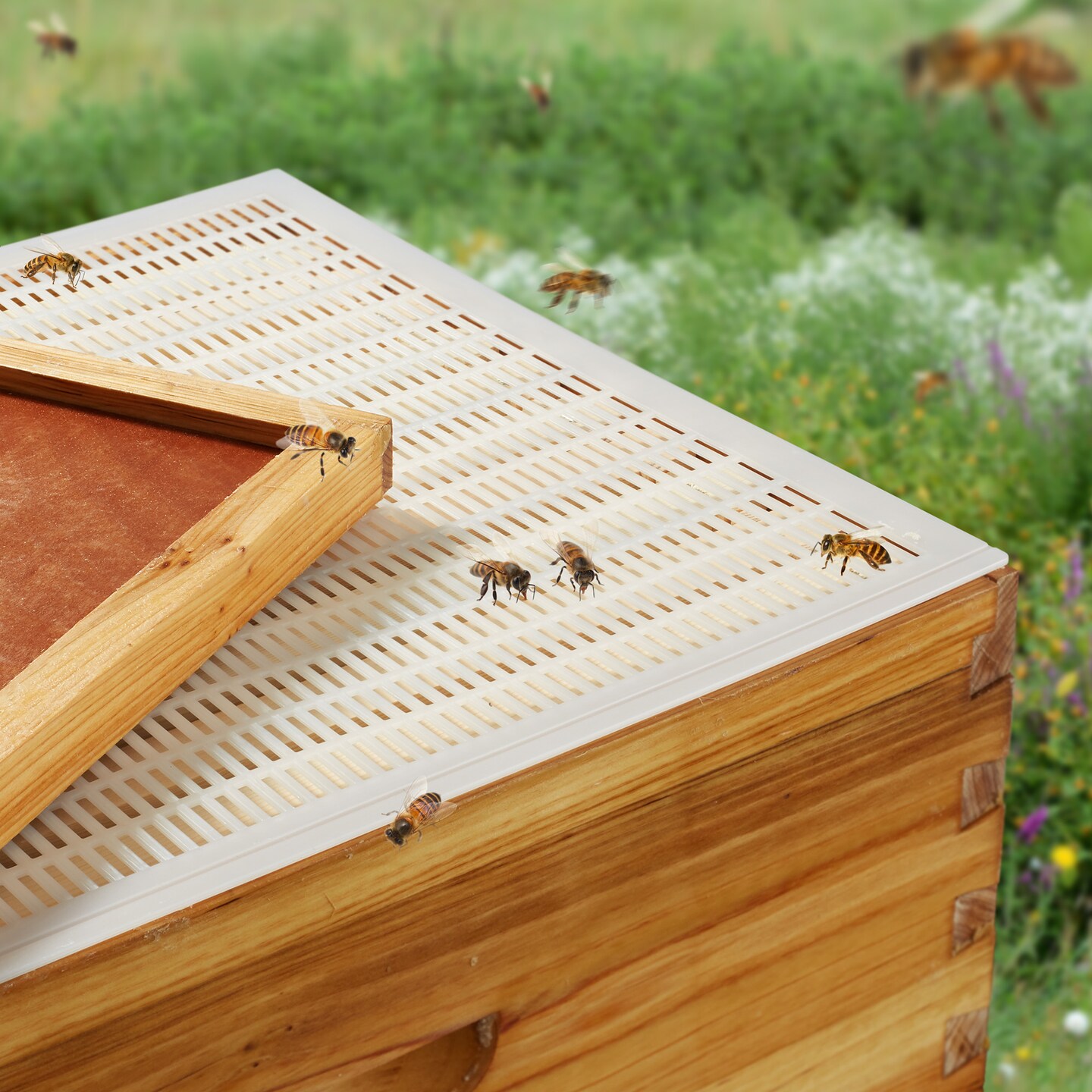 Honey Keeper 10 Frame Plastic Queen Excluder, 2 Pack - Bee Hive Tool for Beekeeping