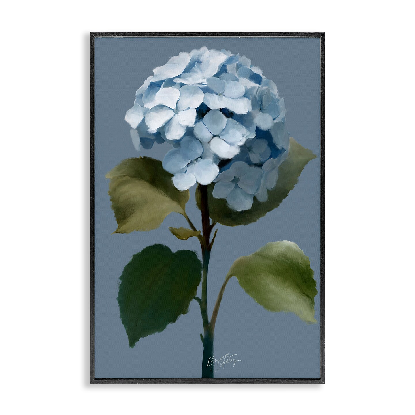 Stupell Industries Delicate Blue Hydrangea Framed Giclee Wall Art Design by Elizabeth Medley