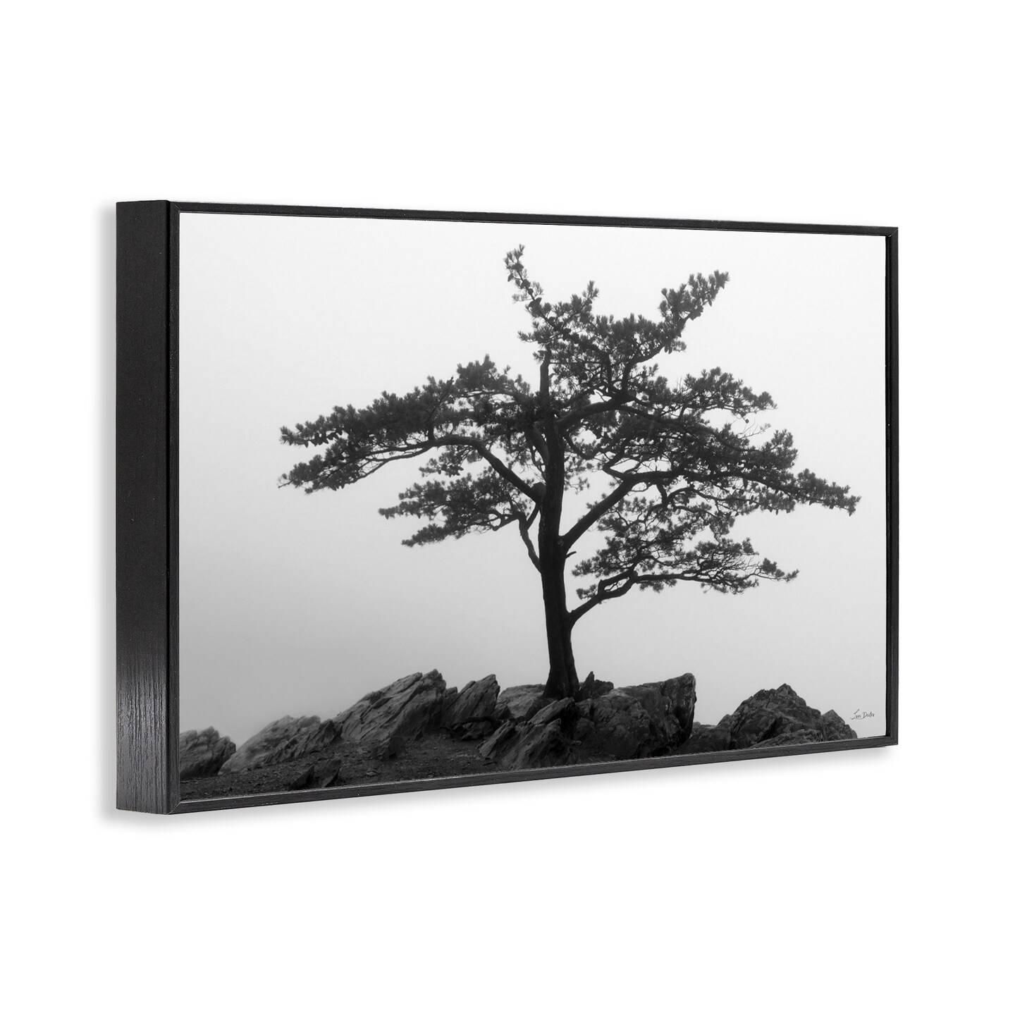Stupell Industries Lone Tree on Rocks Framed Giclee Wall Art Design by Lori Deiter