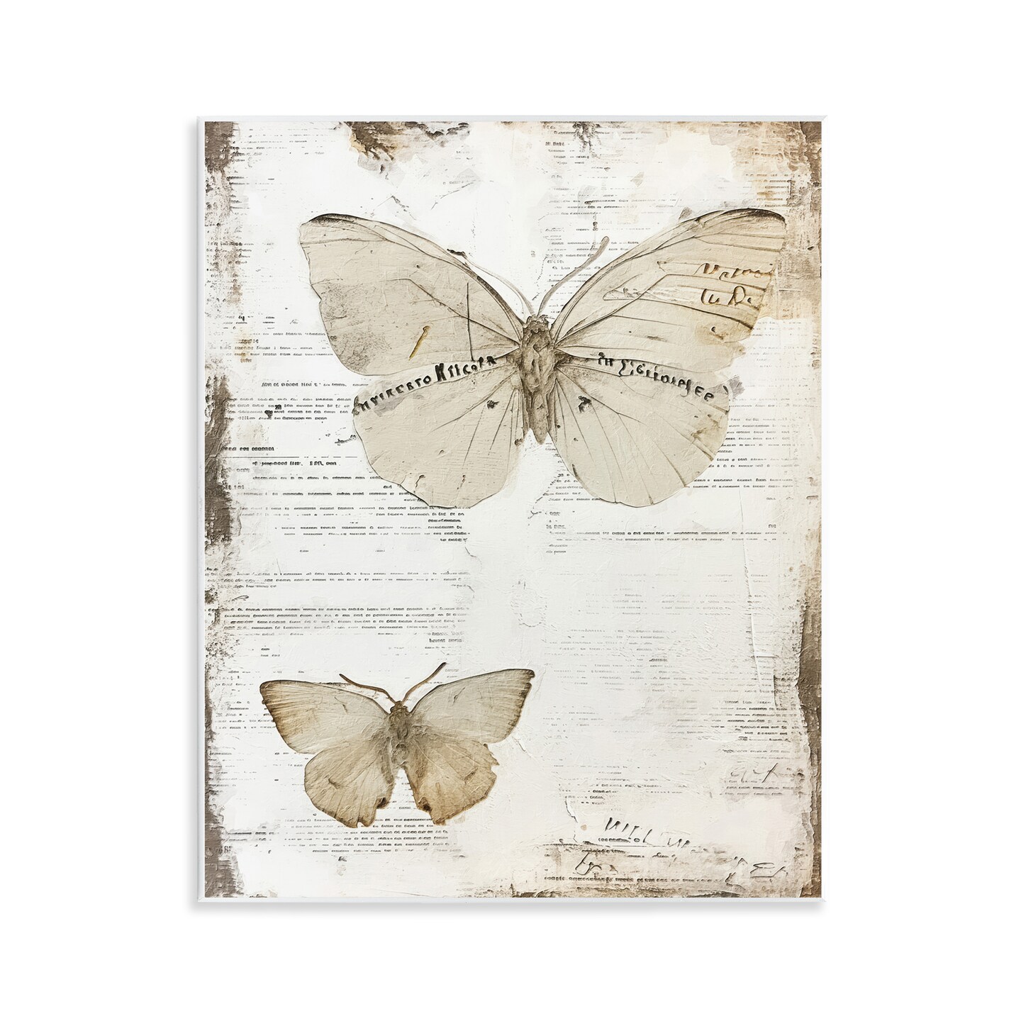 Stupell Industries Butterfly Journal Collage Wall Plaque Art Design by RileyB