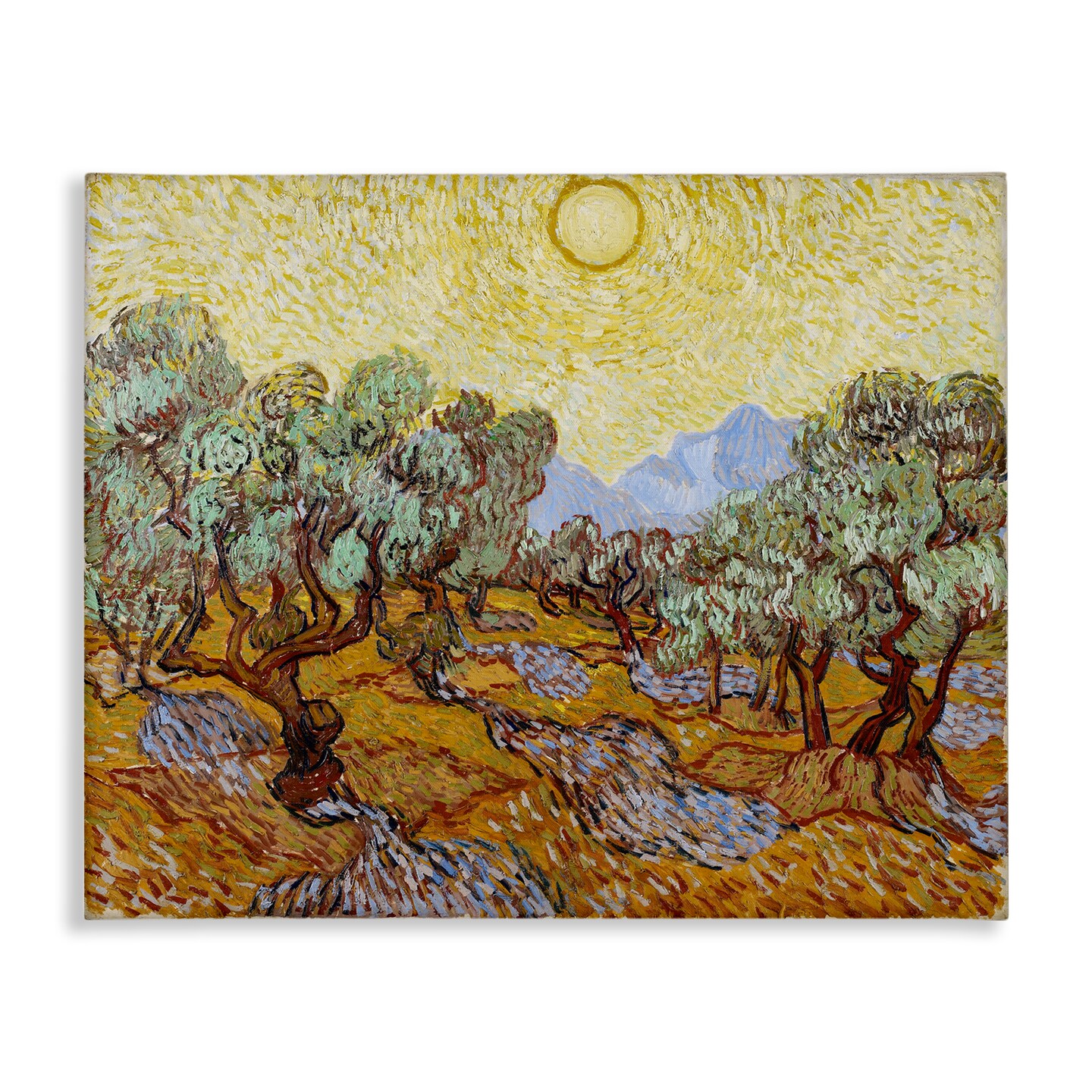 Stupell Industries Classic Van Gogh Olive Trees Canvas Wall Art Design by one1000paintings