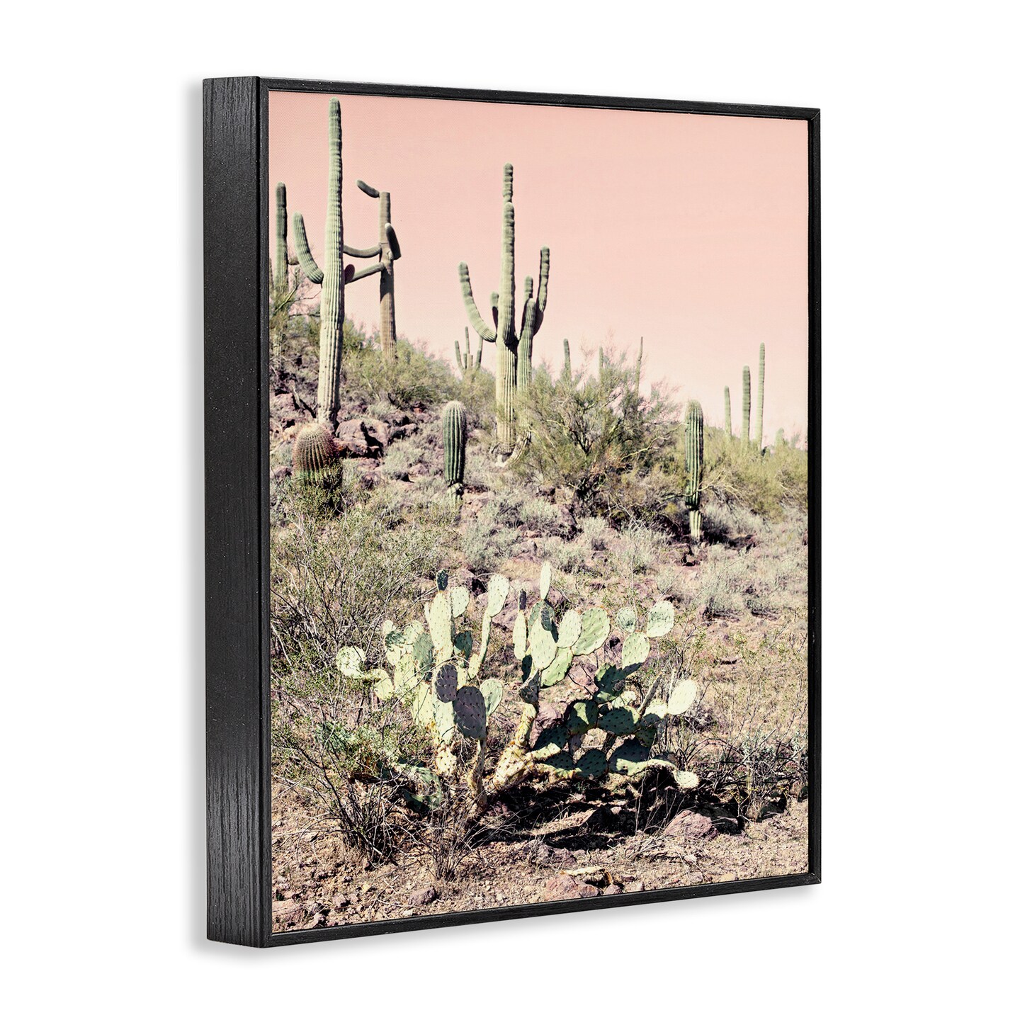 Stupell Industries Rustic Desert Scene Framed Giclee Wall Art Design by Susan Bryant