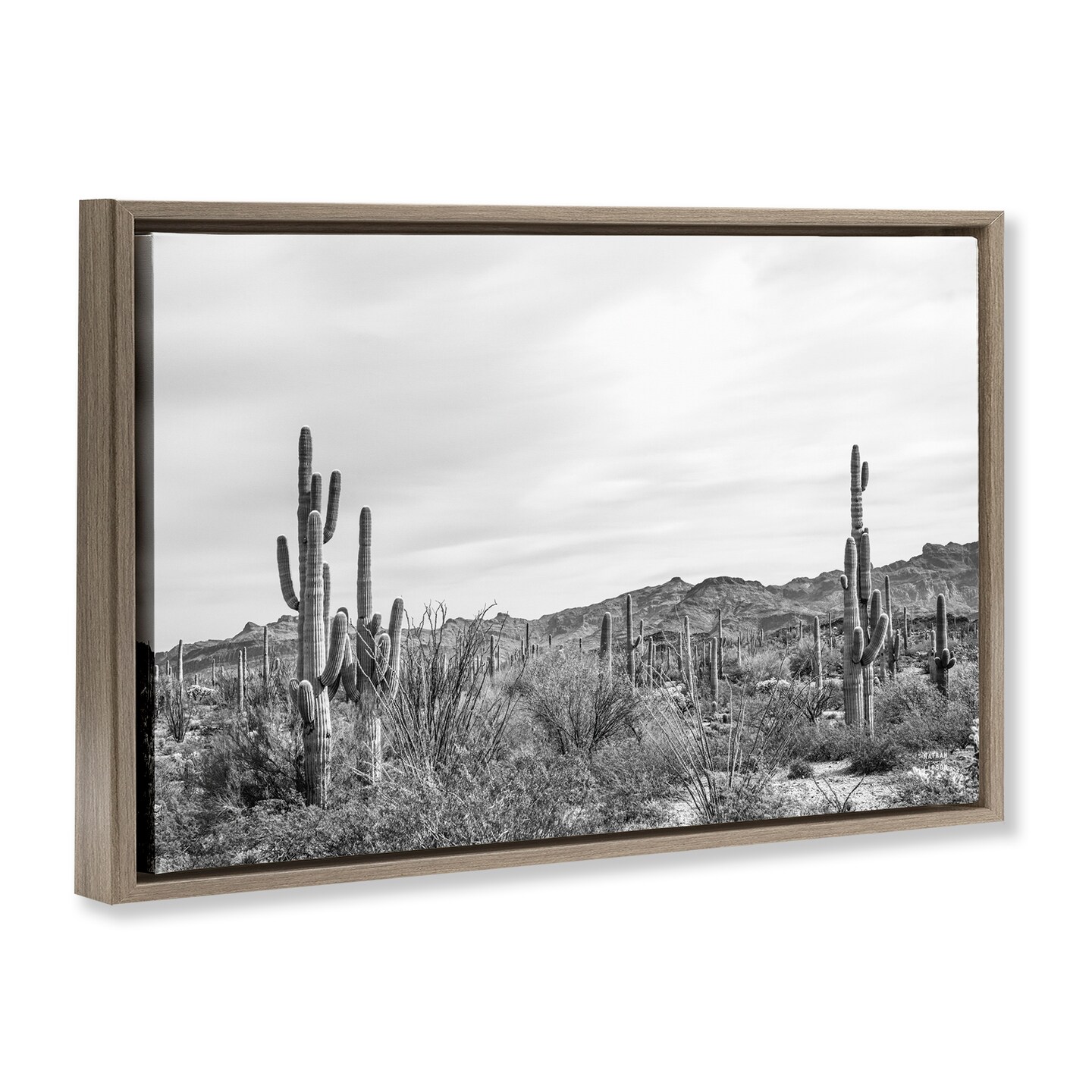 Stupell Industries Sonoran Desert Wonderland Framed Floater Canvas Wall Art Design by Nathan Larson