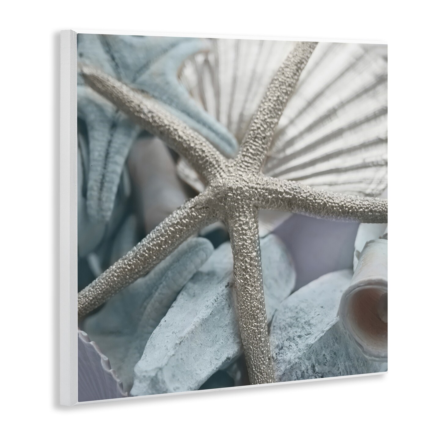 Stupell Industries Seashells &#x26; Starfish Wall Plaque Art Design by Susan Bryant