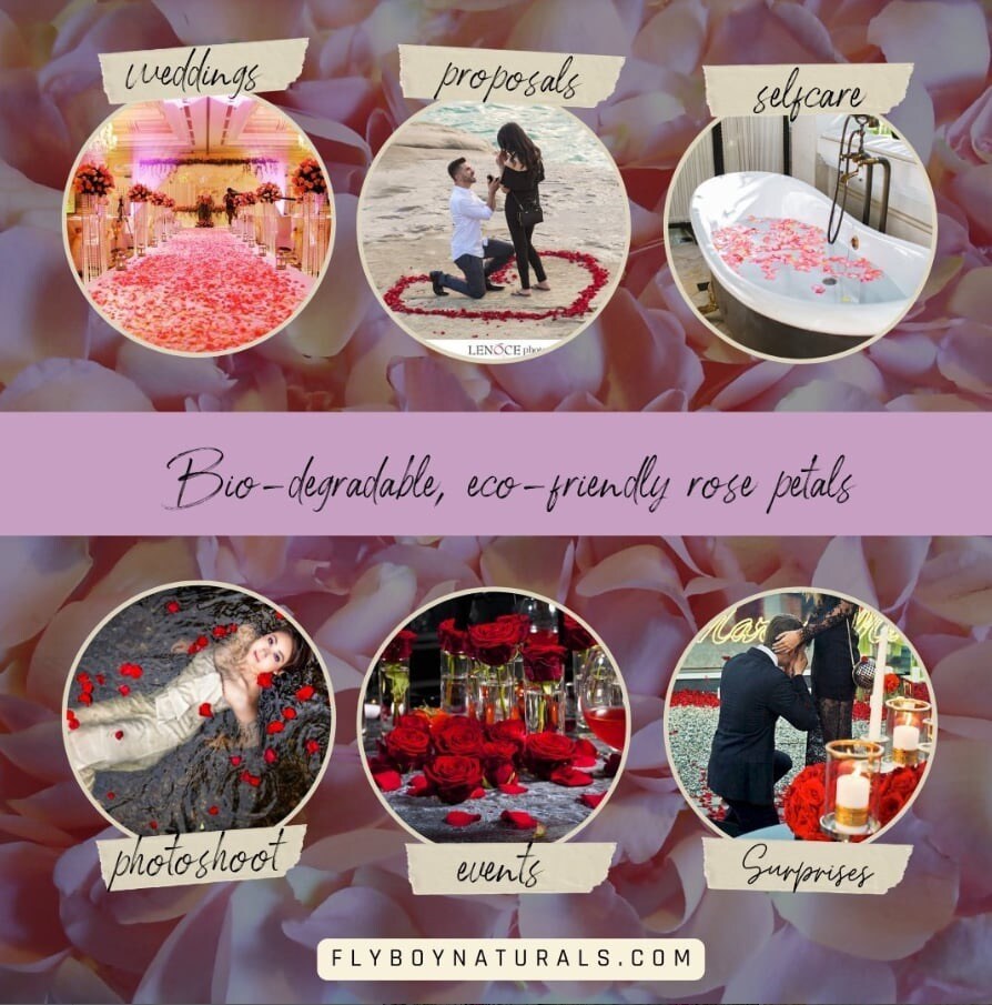 Red Eco-friendly Real Preserved Rose Petals 30 cups - image10