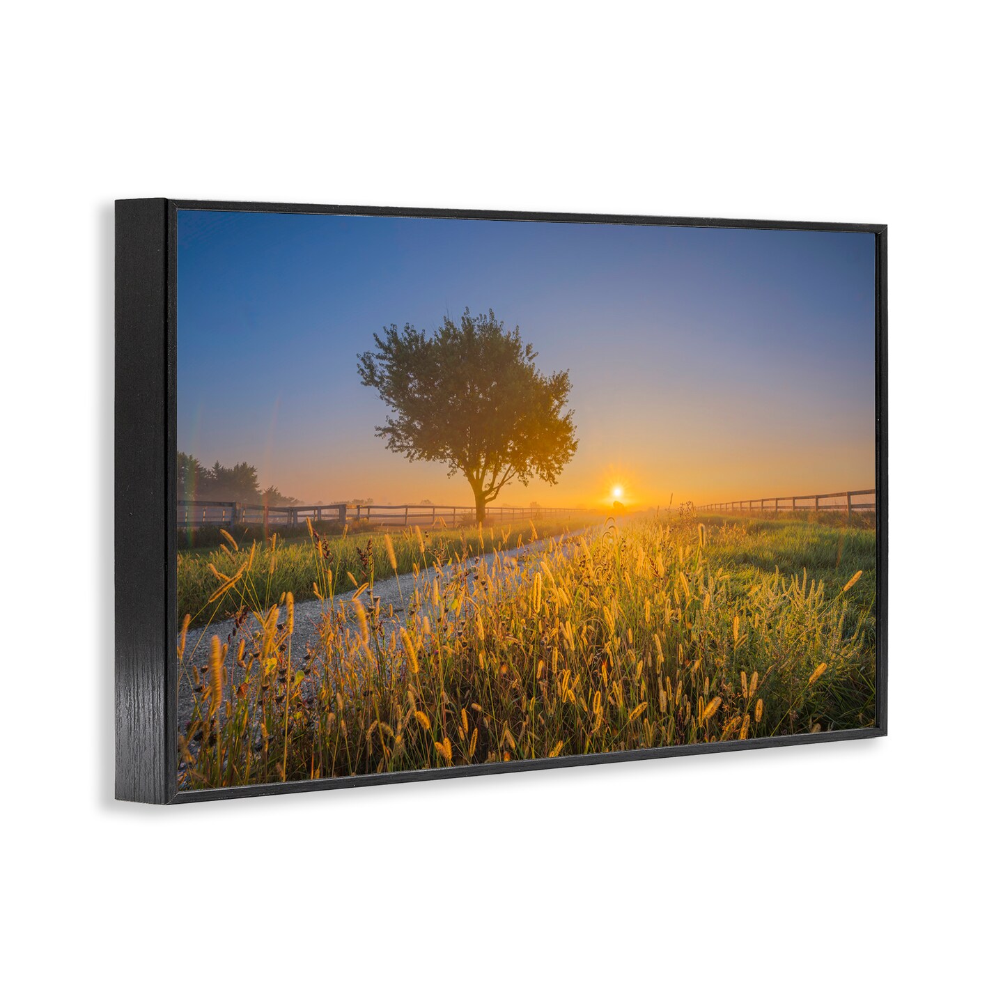Stupell Industries Rising Sun Horizon Framed Giclee Wall Art Design by Marty Hulsebos