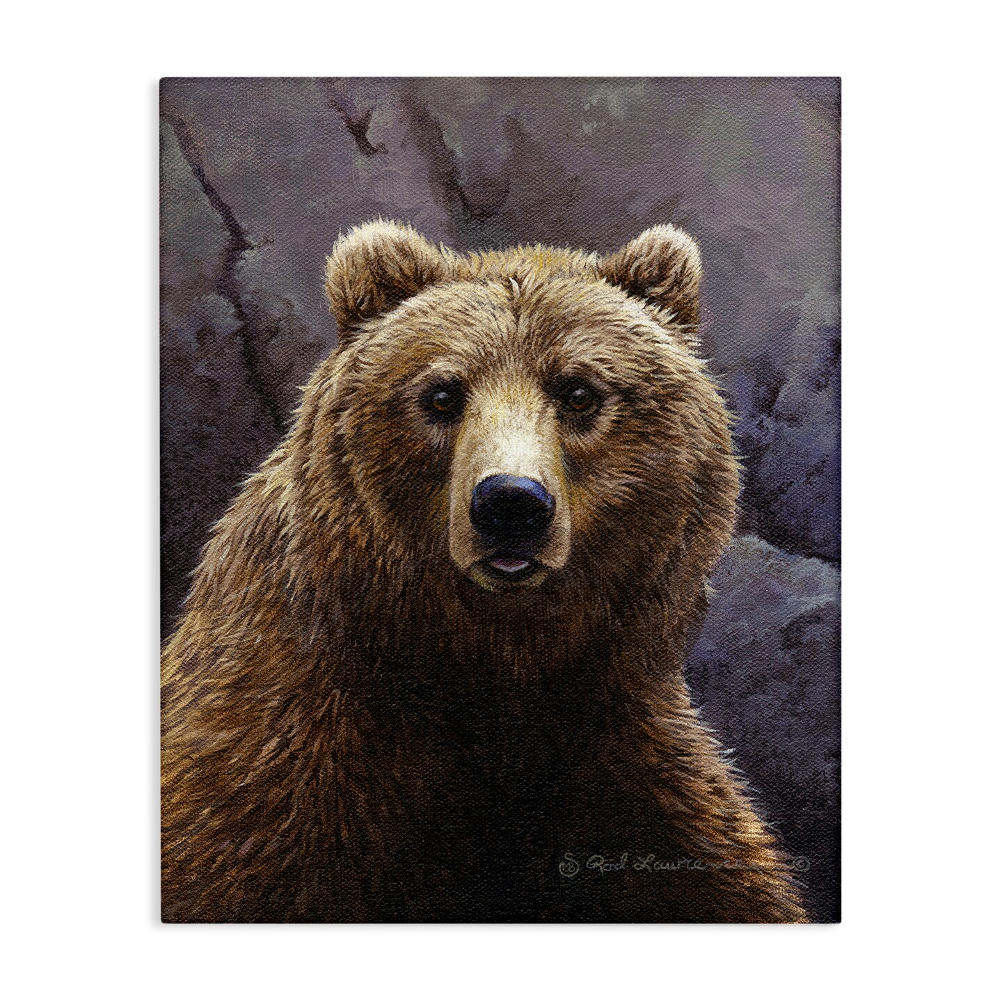 Stupell Industries Surprised Bear Portrait Canvas Wall Art Design by Rod Lawrence