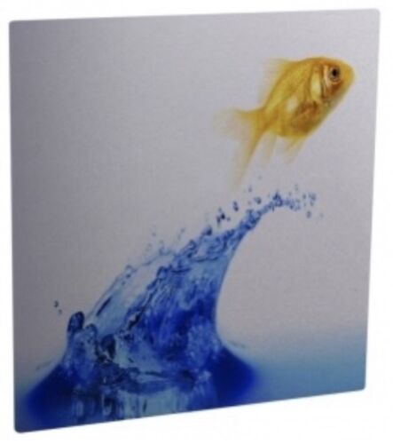 ChromaLuxe Gloss Clear Metal Print 30”x30" .045" thick - 10 per Case 4281