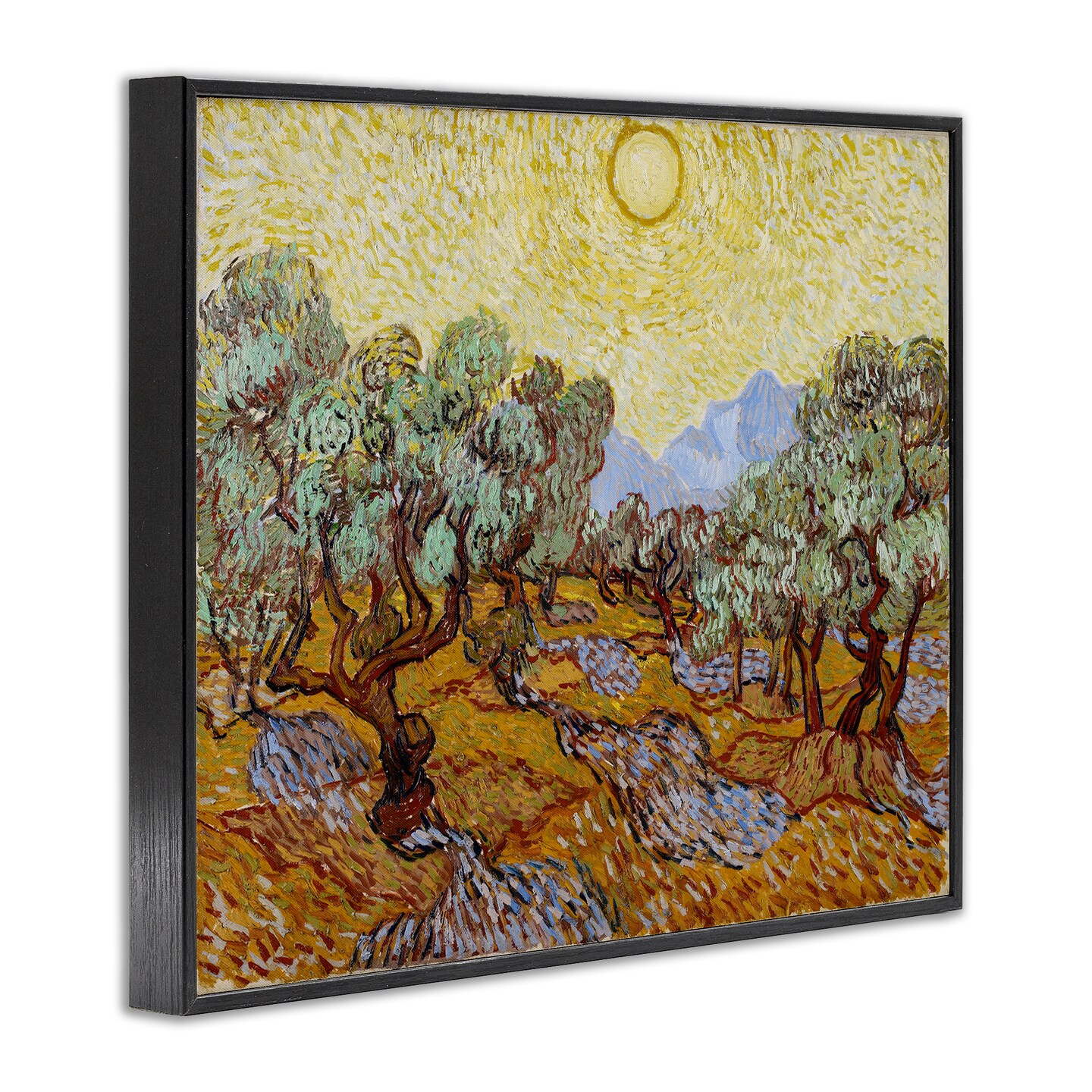 Stupell Industries Classic Van Gogh Olive Trees Framed Giclee Wall Art Design by one1000paintings