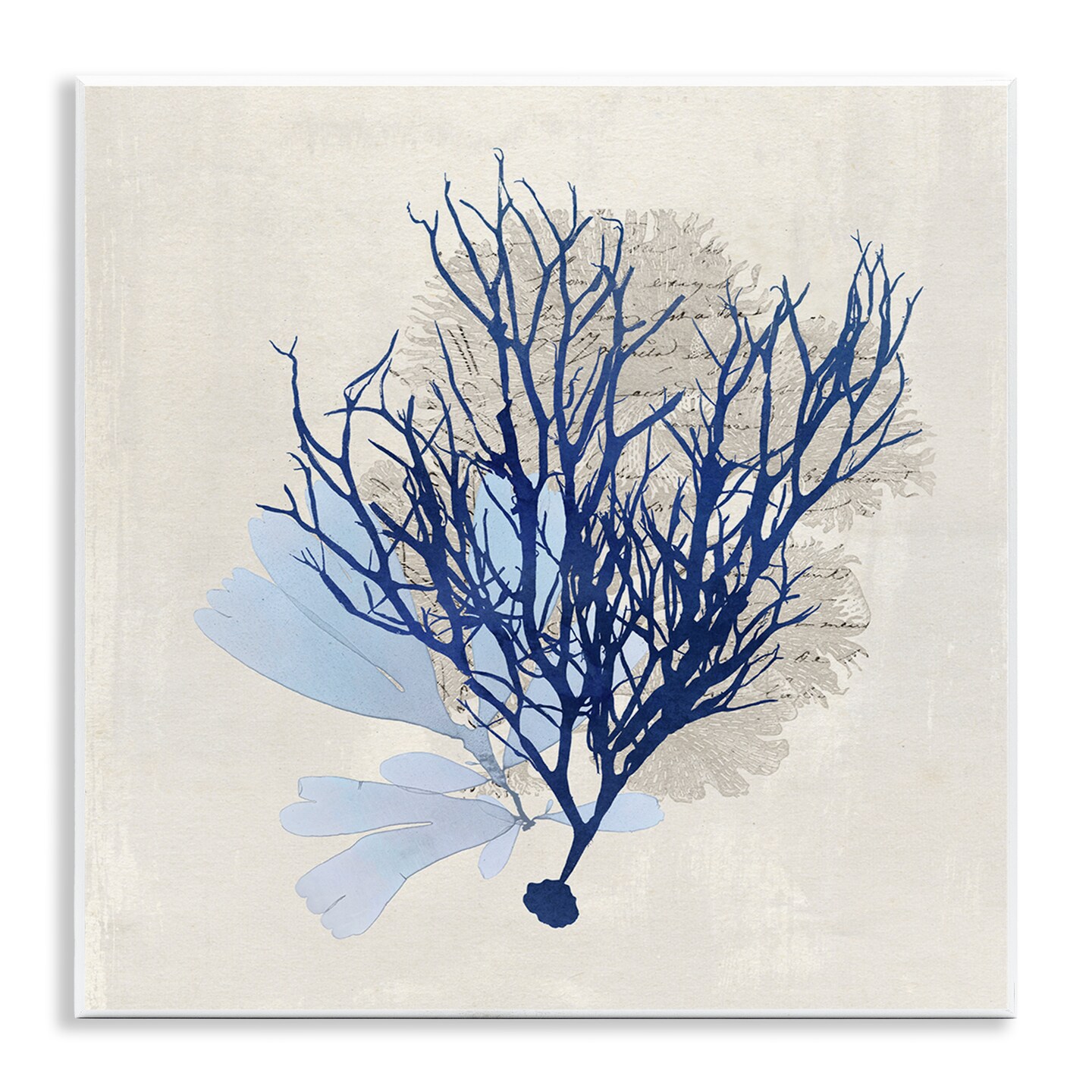 Stupell Industries Modern Coral Branch Wall Plaque Art Design by Susan Arnot