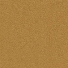 Derrick 600-21524 High Performance PVC Upholstery Fabric