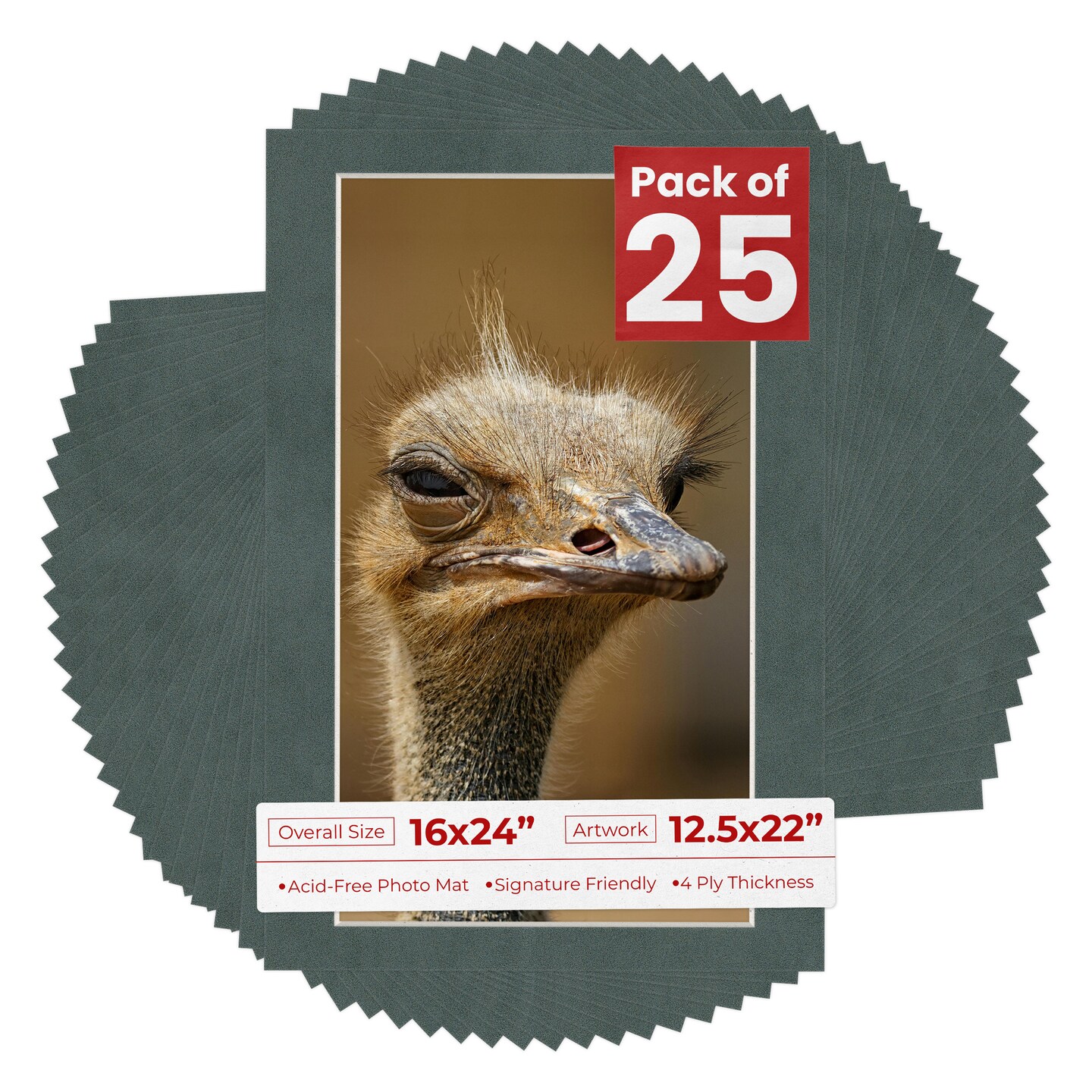 Dark Grey Suede Mat Board for 16x24 Frames - Fits 12.5x22 Photos