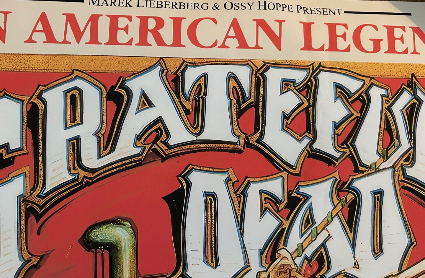 Magnificent Grateful Dead Poster Art 24 X 36 | Artist Rick