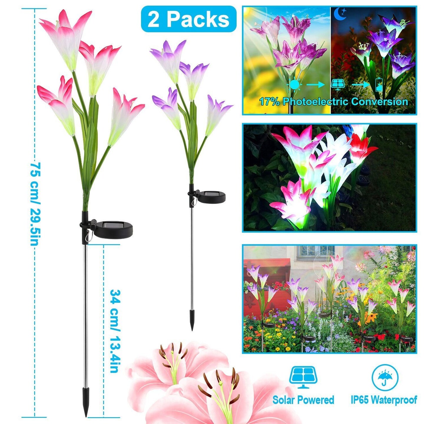 Edge Collections – Solar Garden Lily Flower LED Pathway Stake Lights with 7-Color Changing (IP65) – 2 Pieces
