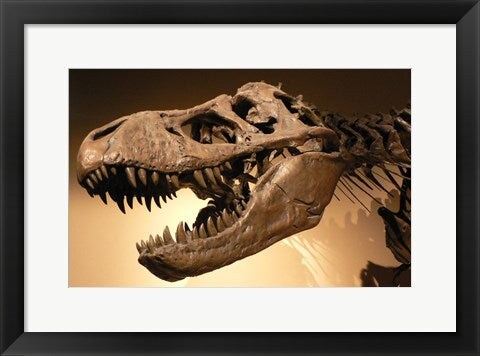 Framed Art Palais de la Decouverte Tyrannosaurus Rex Wall Decor 18x24 Artwork