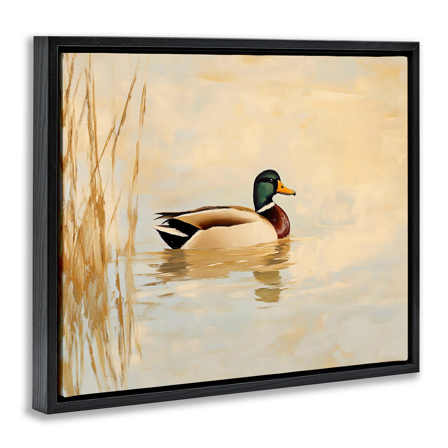 Stupell Industries Green Headed Duck Floating Frame By Franklyn Gregory