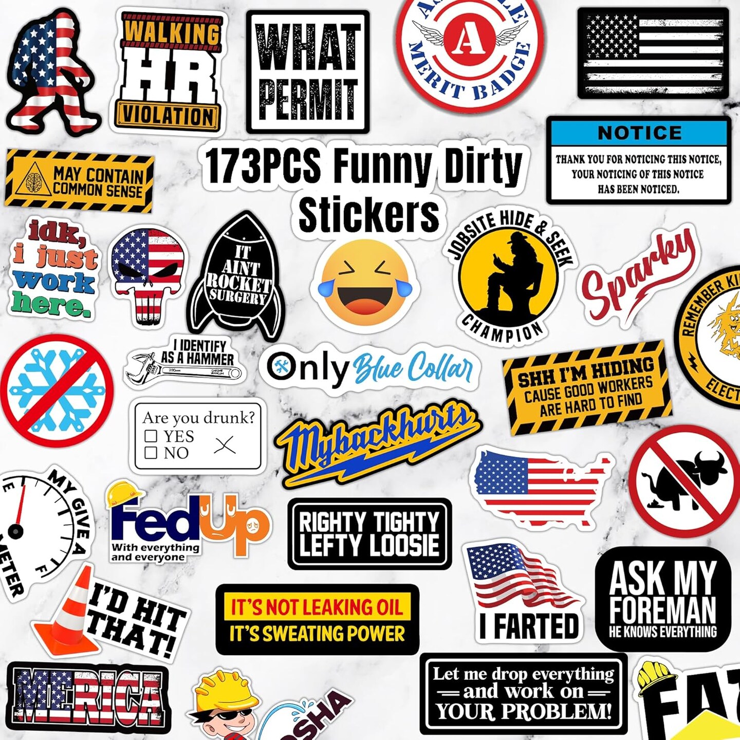 173 PCS Hard Hat Stickers for Adults - Funny (Dirty) for Water Bottle