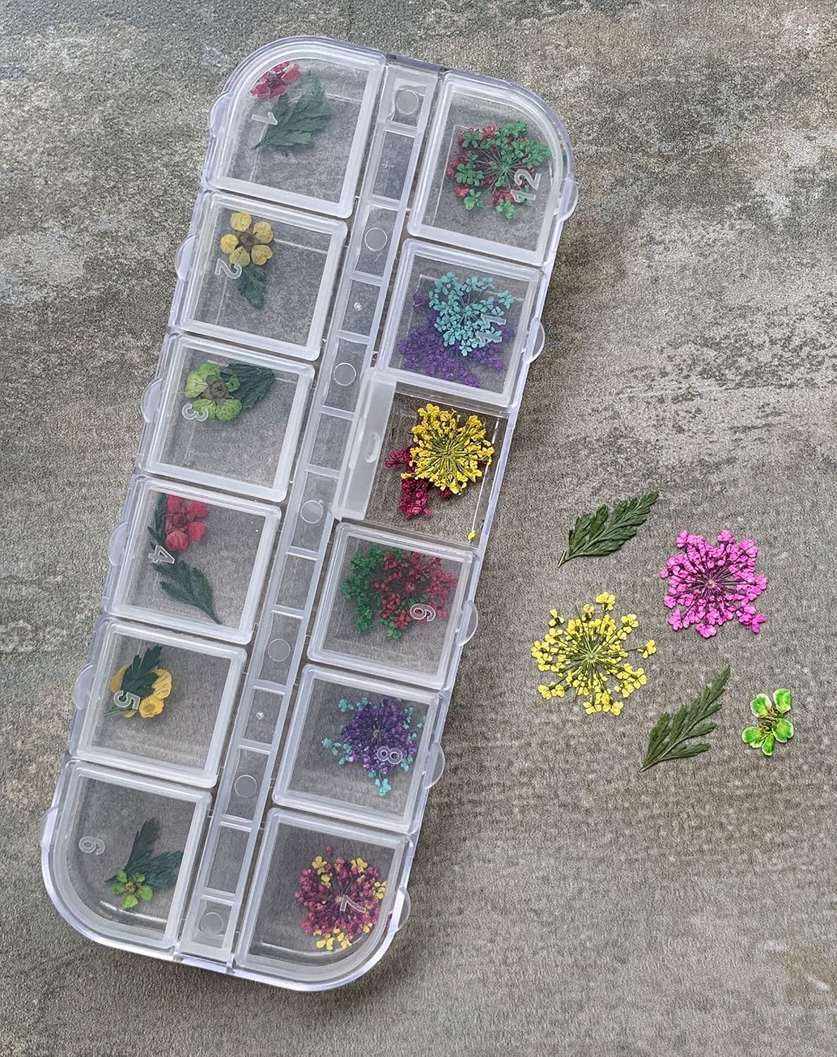 Dried Flower Inclusions with Case