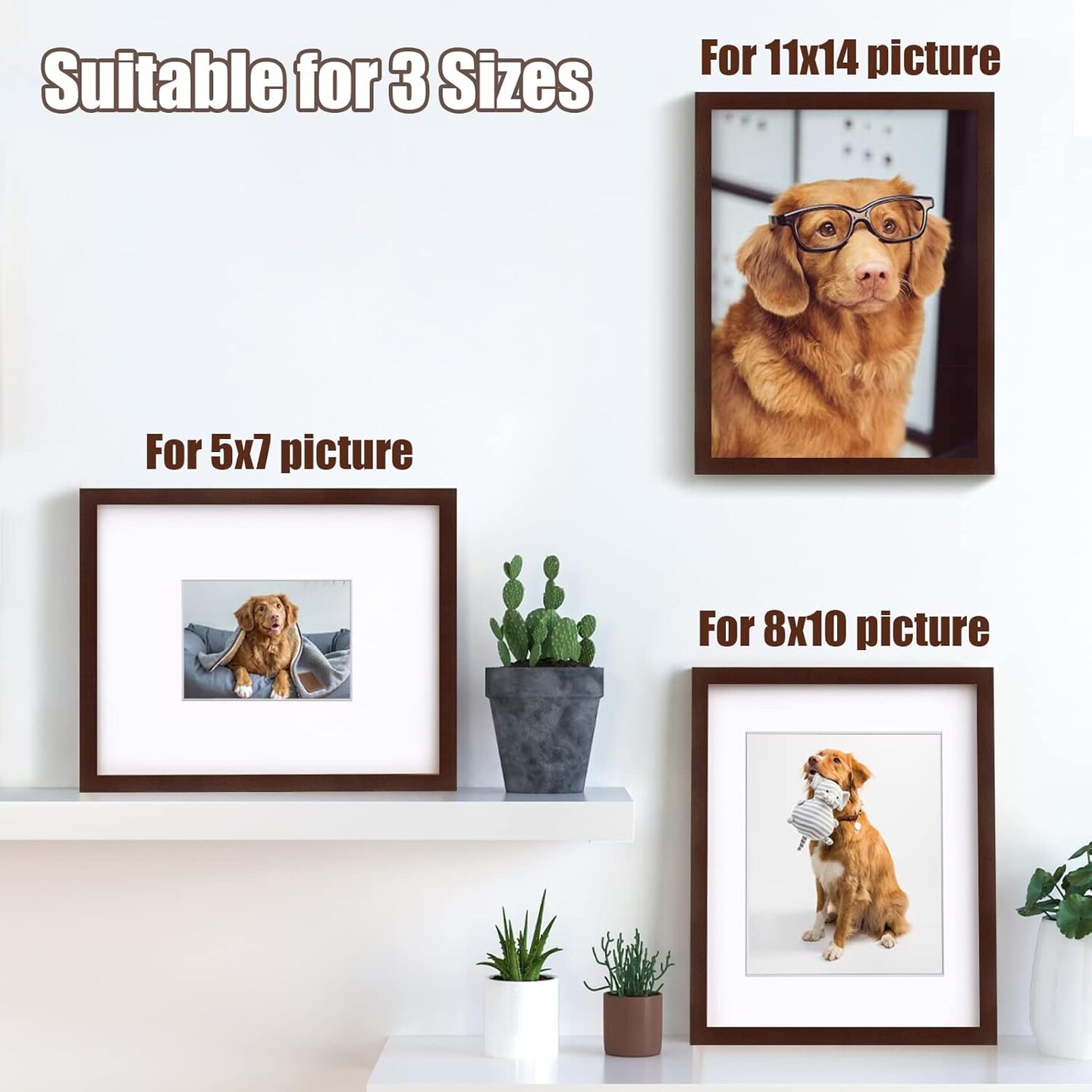 Set of 4 Solid Wood 11×14 Picture Frames in Walnut Finish with Plexiglass, Display 5×7 or 8×10 with Mat or 11×14 Without Mat, Suitable for Tabletop or Wall Display