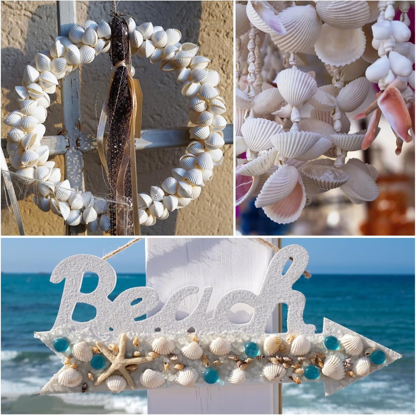 Small Sea Shells White Small Tiny Sea Shells Clam Shells Bulk Natural Scallop Shells for Home Decor Beach Theme Party Fish Tank Vase Filler
