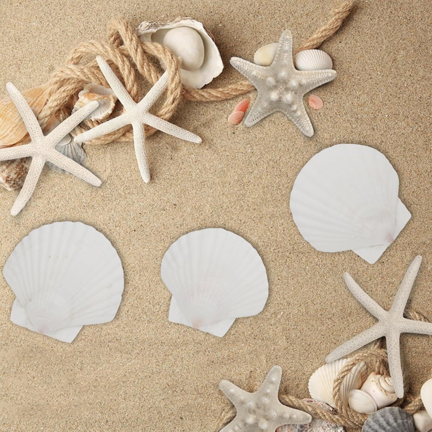 15 PCS Starfish and Scallop Shells, 2&#x22;-4&#x22; Natural Seashells White Seashells Large Seashells for Crafts Wedding Decor Beach Theme Party, Fish Tank and Vase Filler
