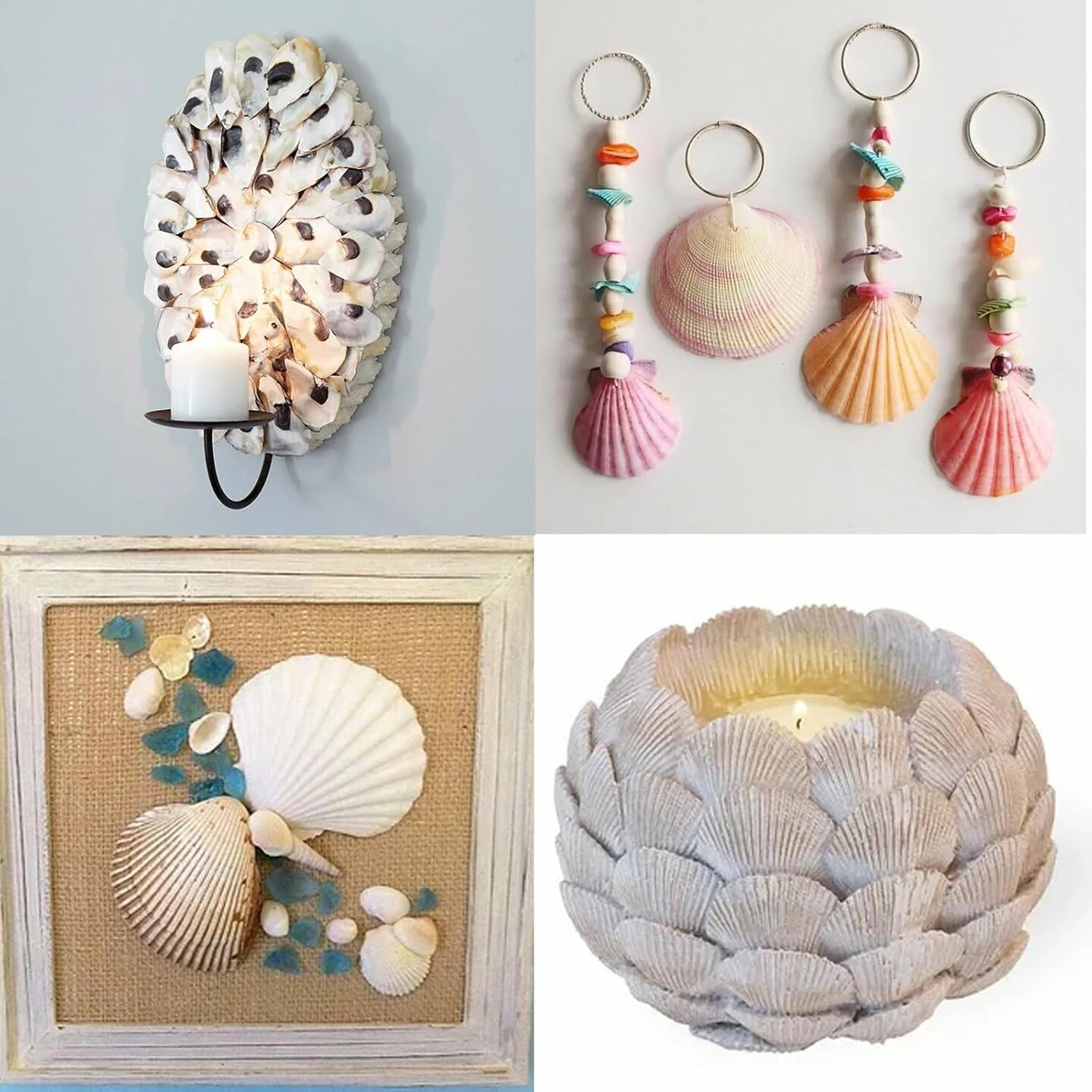 Scallop Shells for Crafts 16Pcs 3-3.5 Inch, White Sea Shells Bulk for Decorating Crafting Beach Home Decor DIY