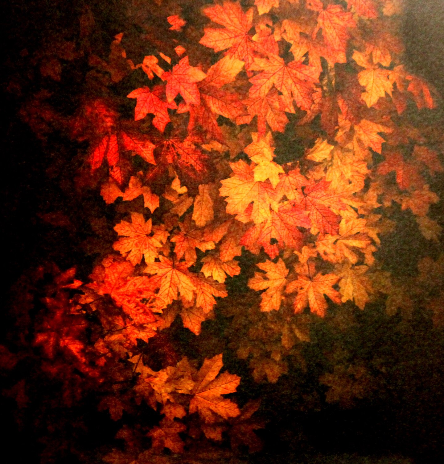Craft Smith Autumn Dream/Evening Fallen Leaves 12 x 12 Lt. Cardstock Paper