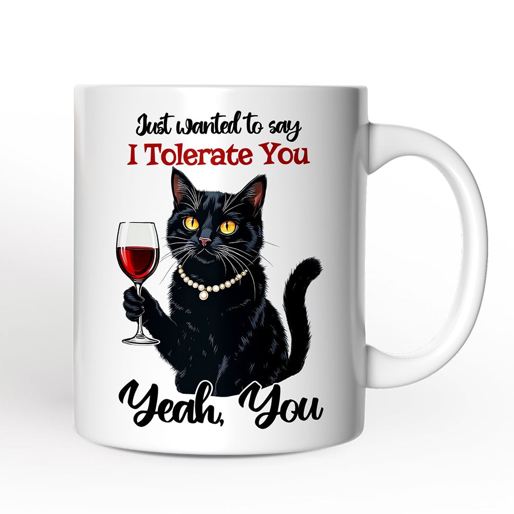 Just Wanted to Say I Tolerate You Mug, Funny Sarcastic Black Cat Lover Gift