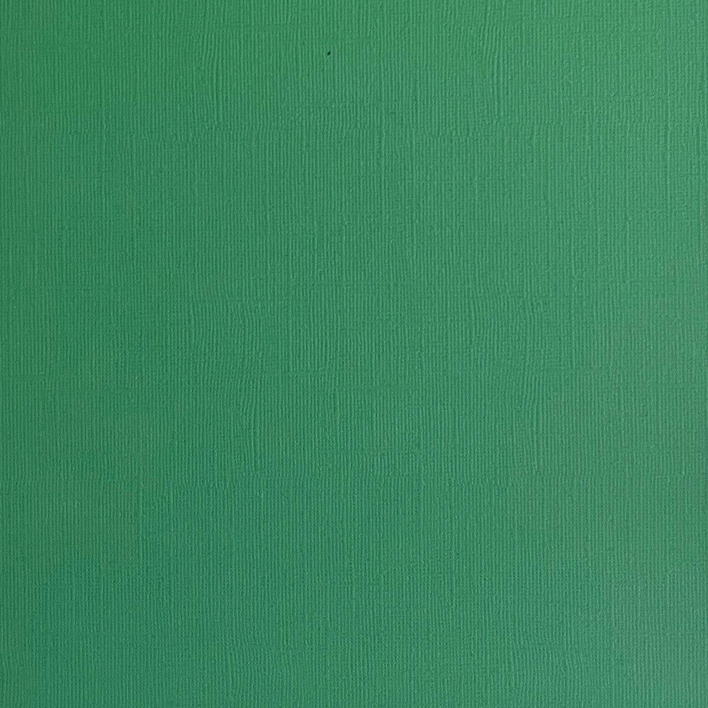 SHAMROCK - Textured 12x12 Cardstock - Encore Paper
