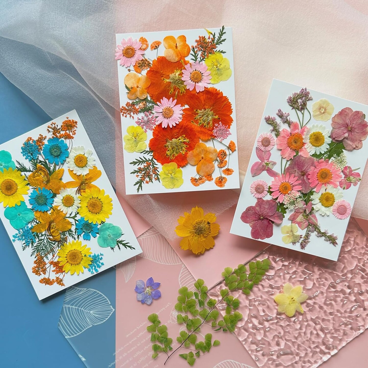 66Pcs Dried Pressed Flowers