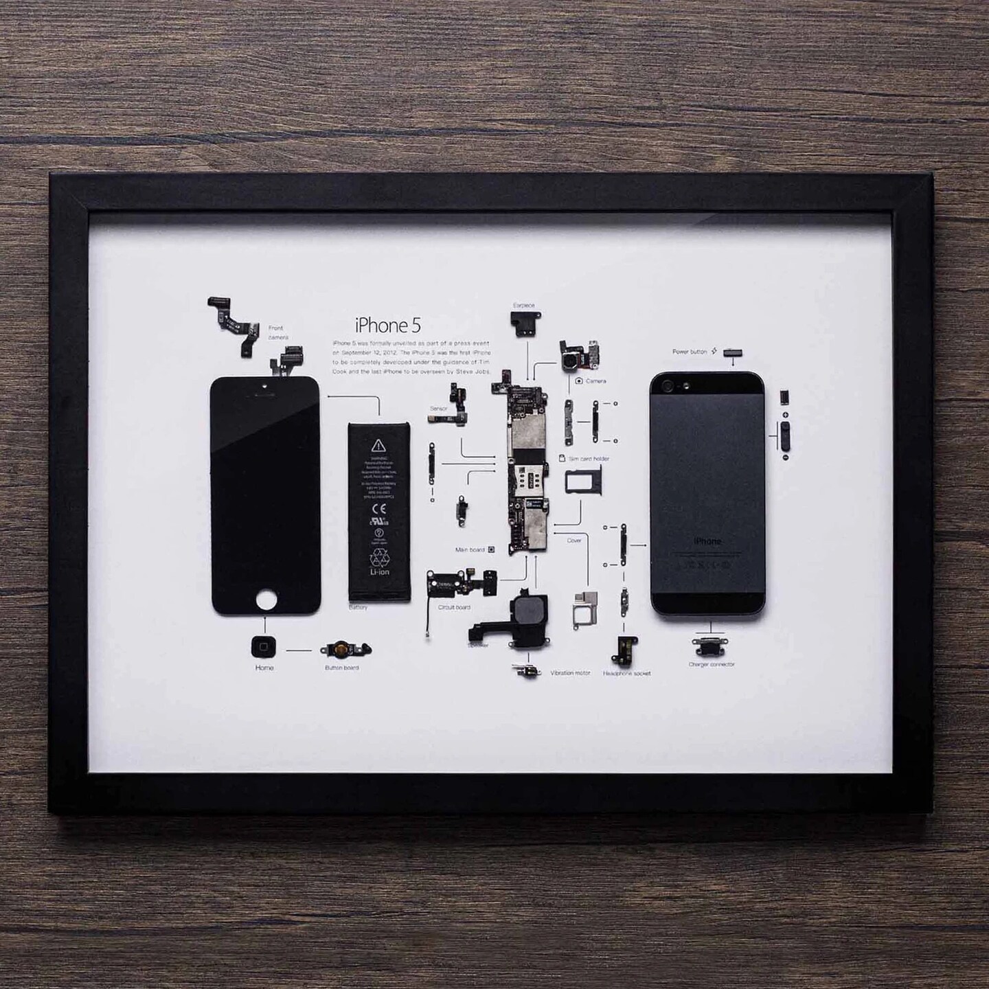 Framed iPhone 3 3Gs 4 4s 5 6 7 8 X Disassembled Phone Wall Art