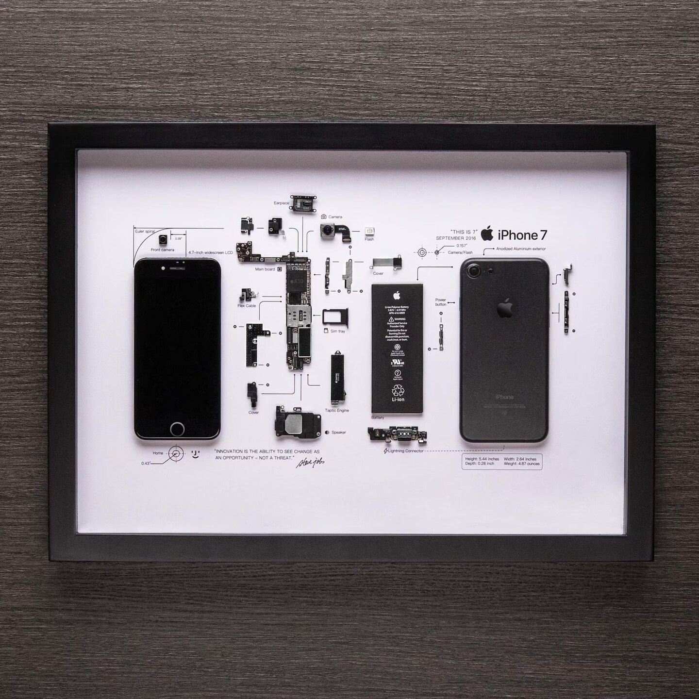 Framed iPhone 3 3Gs 4 4s 5 6 7 8 X Disassembled Phone Wall Art