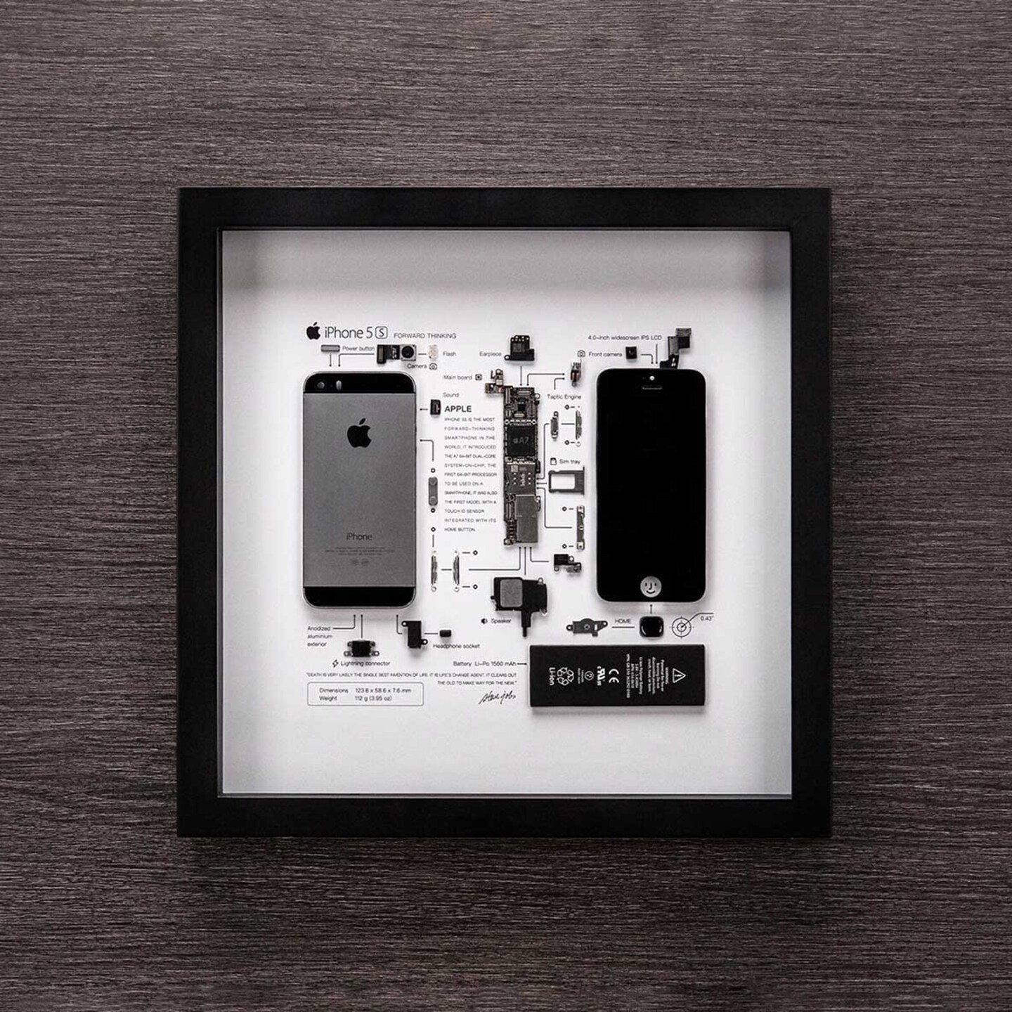 Framed iPhone 3 3Gs 4 4s 5 6 7 8 X Disassembled Phone Wall Art