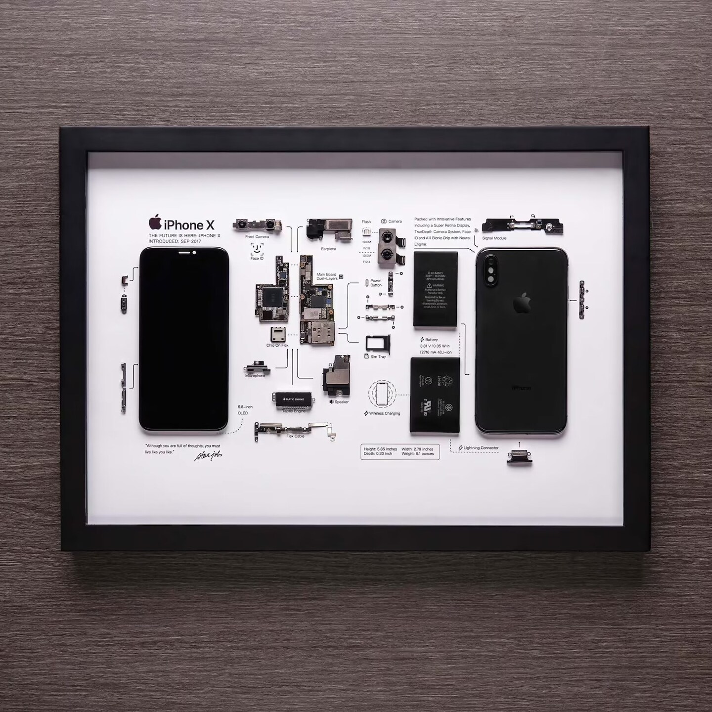 Framed iPhone 4 Disassembled Phone Teardown iphone Wall Art