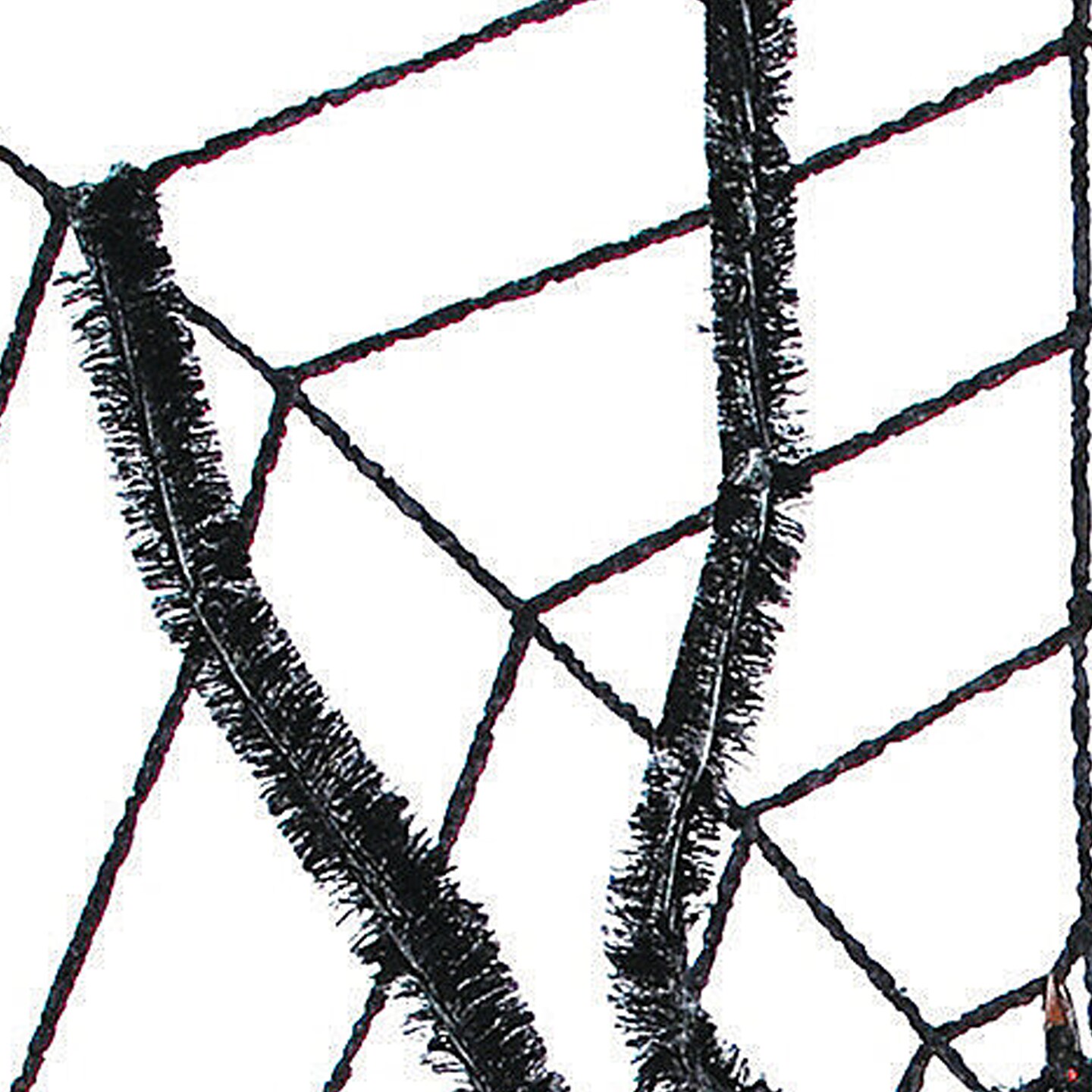 Spider Web With Spider